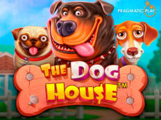 Gs trabzon maçı canlı izle taraftarium24. Kanal d köpek balığı saldırısı.88